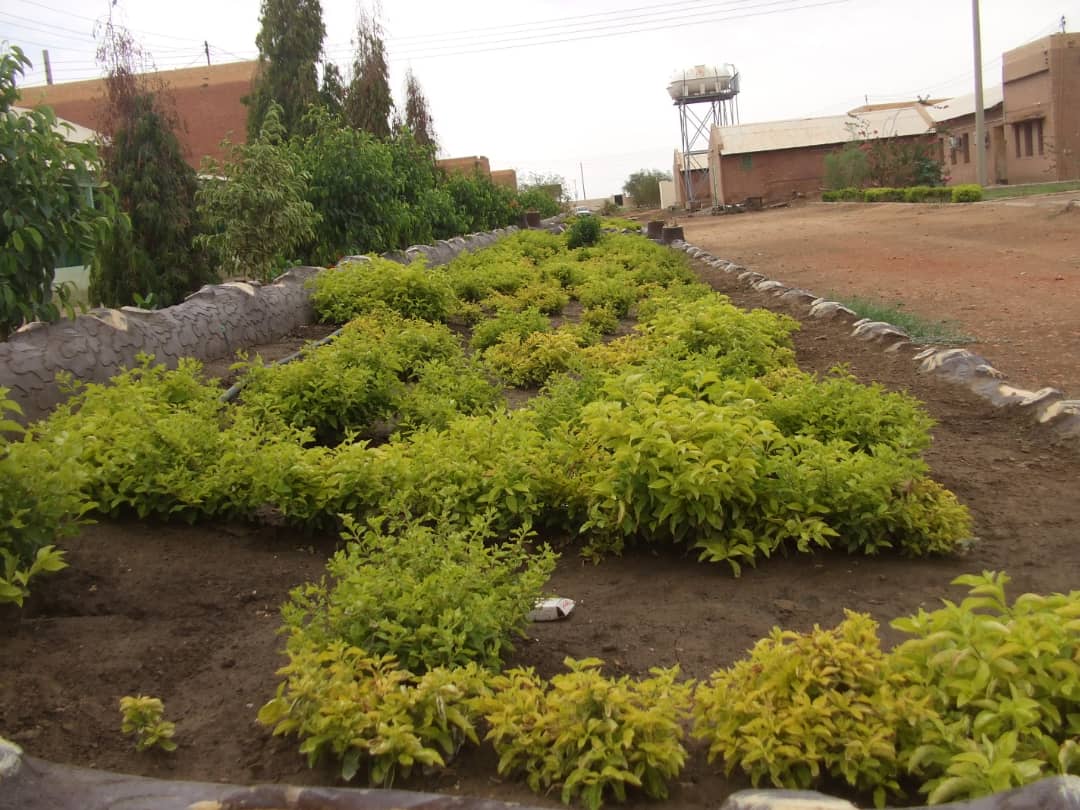 صور كلية الزراعة