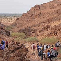 WhatsApp Image 2026-02-24 at 12.47.19 PM (1)