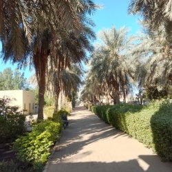 WhatsApp Image 2026-03-13 at 10.09.32 AM