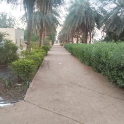 WhatsApp Image 2026-03-13 at 10.09.33 AM